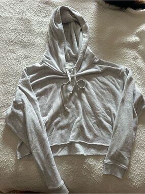 American Eagle Light Gray Cropped Hoodie